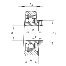 直立式軸承座單元 PASE25-N-FA125, 鑄鐵軸承座，帶偏心鎖圈的外球面球軸承，P 型密封，耐腐蝕保護